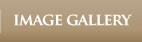 Image Gallery