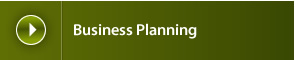 Business Planning