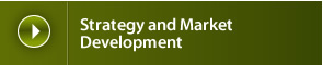 Strategy & Market Development